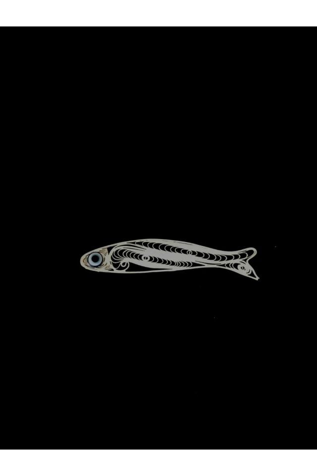 5 Adet Elüretimi Telkari Hamsi Magnet Seti